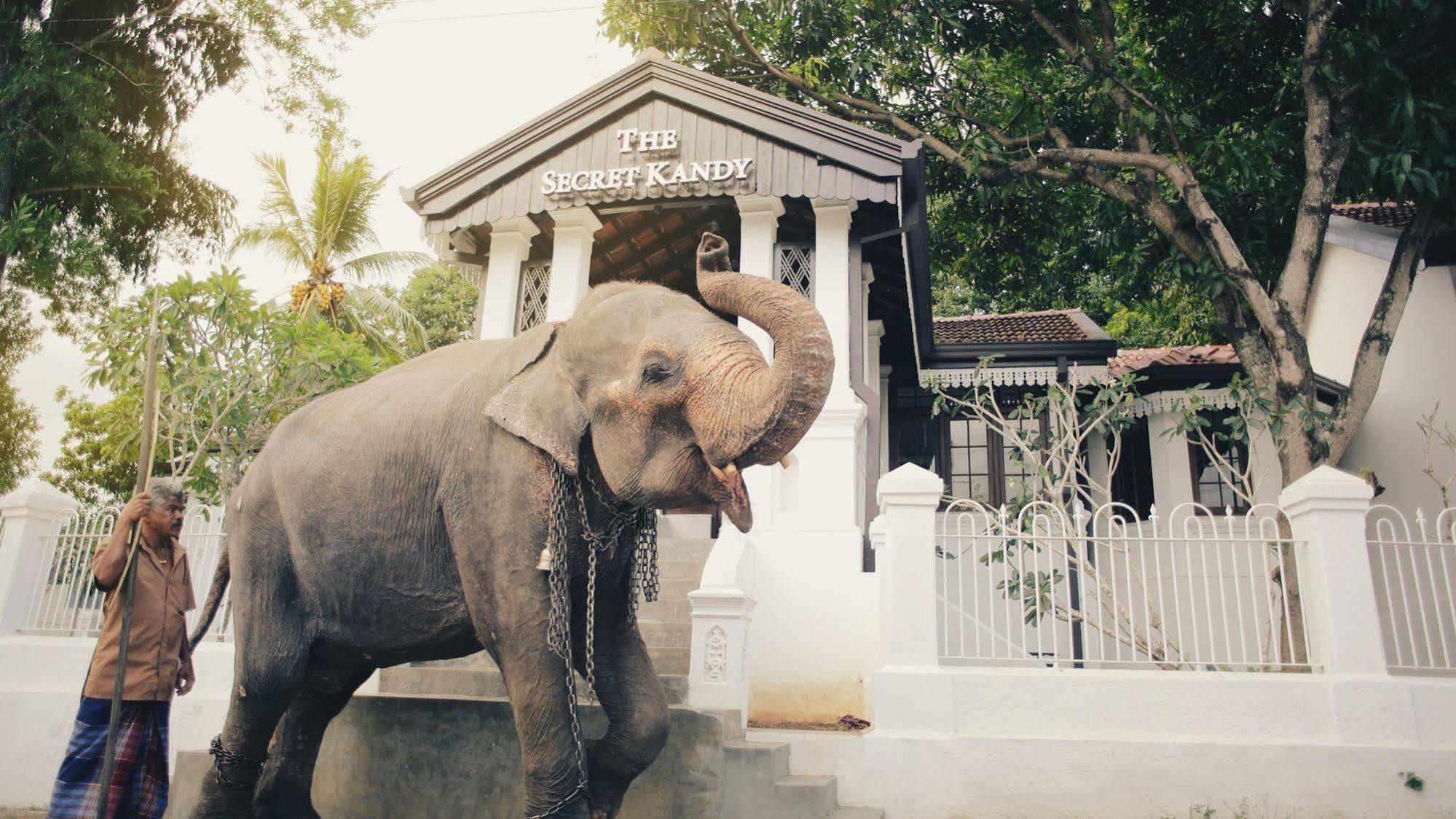 The Secret แคนดี้ ภายนอก รูปภาพ